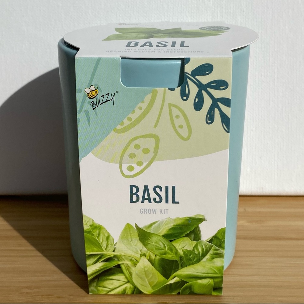 Buzzy Herb Grow Kit in a Ceramic Pot: Basil